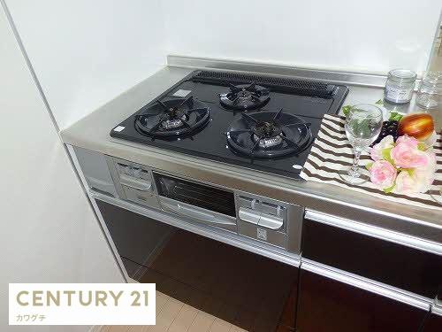 シャーメゾン際波C棟