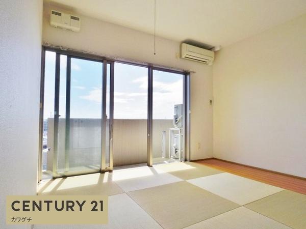 ミレーユ・ステディア