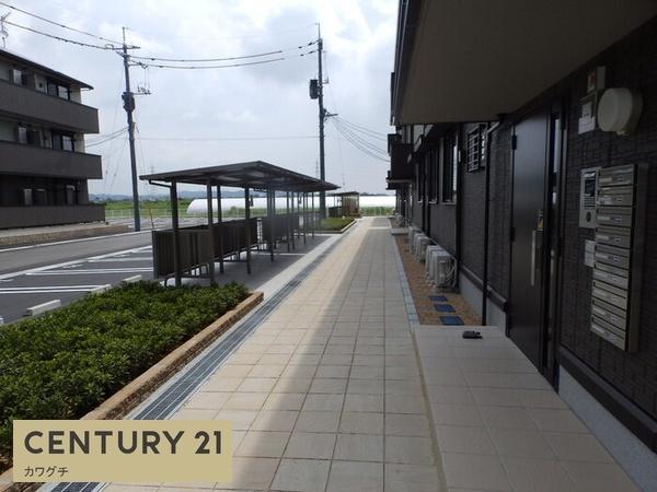 ハーベスト　コート