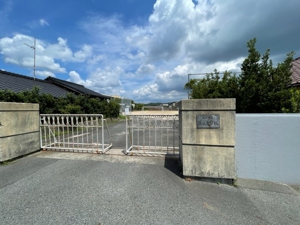 ルピナス(宇部市立藤山中学校)