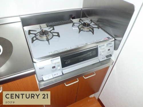 シャーメゾン岩鼻Ⅱ