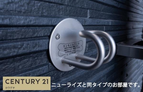 プルミエールサンⅡ
