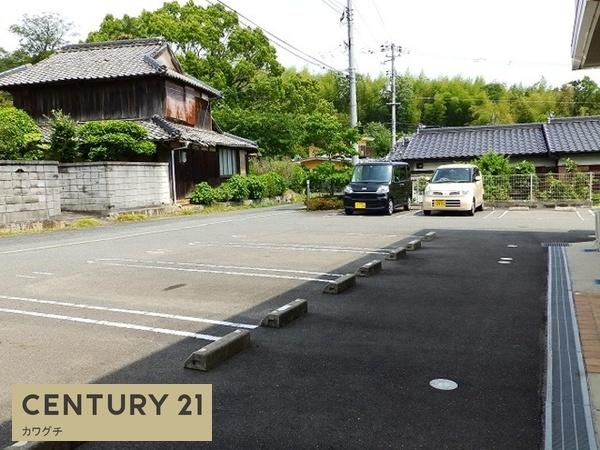 セントポーリアⅡ