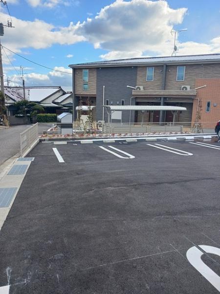 マグノリア