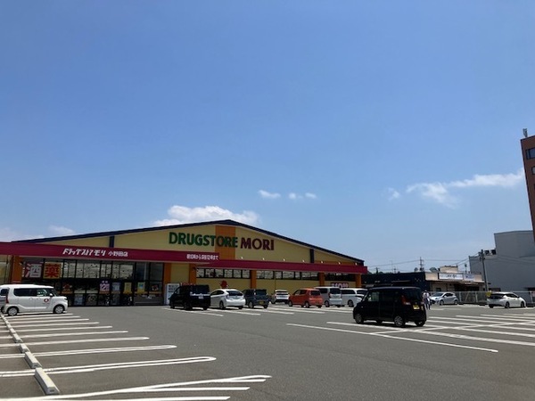 パーク・アベニュー　Ｂ棟(ドラッグストアモリ小野田店)