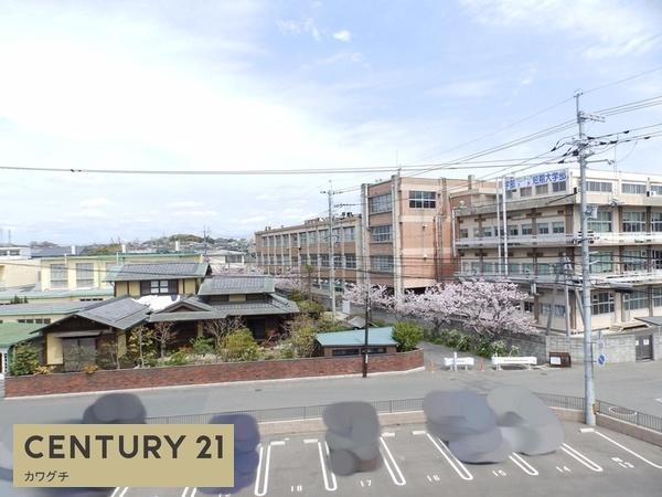 ピュアライト文京町