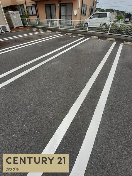 モーニング　ミスト