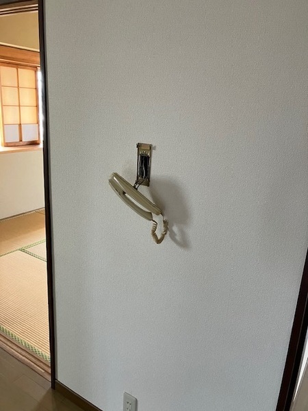 ウェルフェア