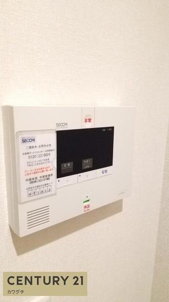 アムール常盤