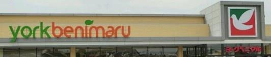 橋本ビル3F（栃木駅前）(ヨークベニマル栃木祝町店)