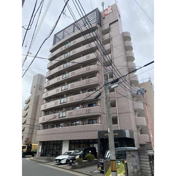 ロイヤルピジョン八田
