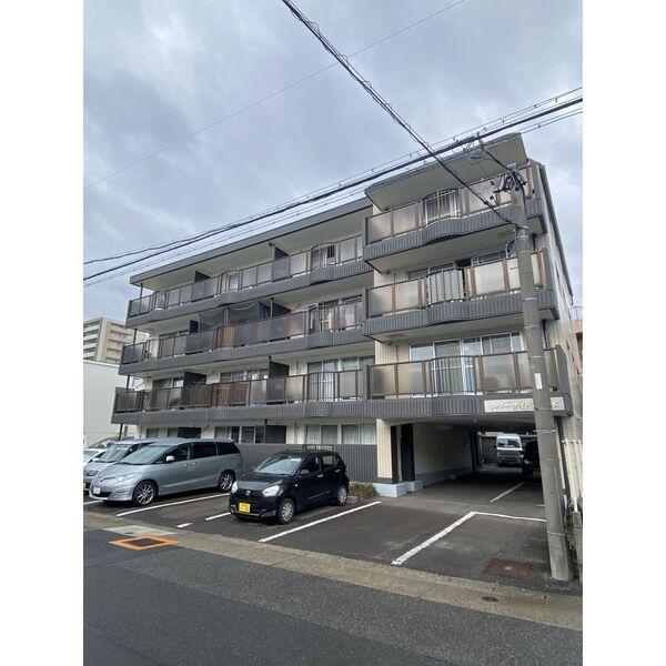リバーサイド市場木