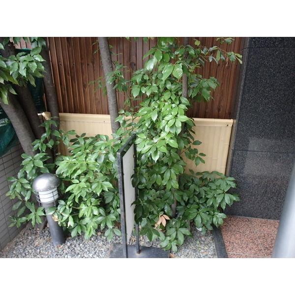 OHD今池
