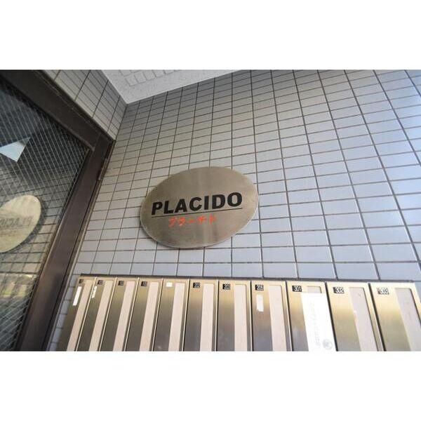 プラーチド