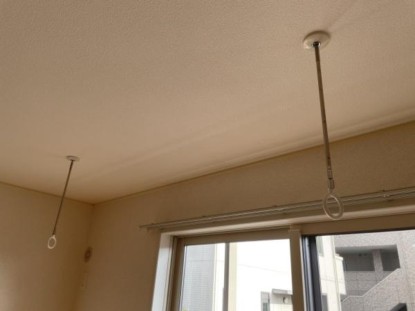 パインツリーF103