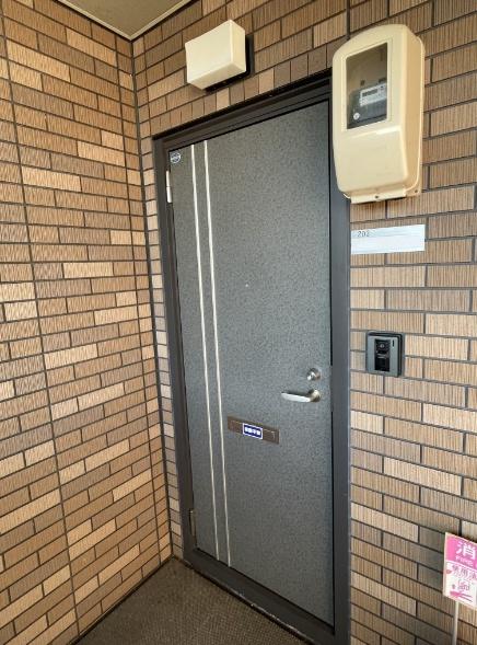 パインツリーD
