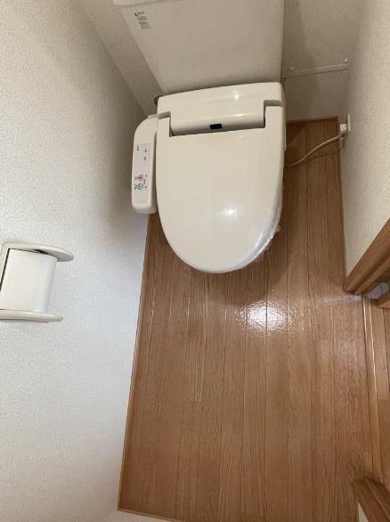 パインツリーD