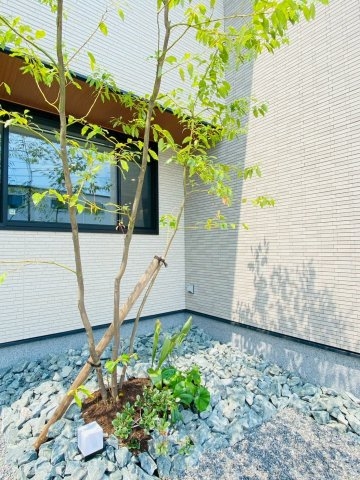 菊陽町原水15号地