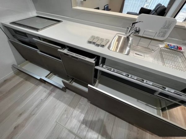 大津町引水／５号棟／貸戸建／Ｅｎｇｌｉｓｈ，ＣｈｉｎｅｓｅＯ