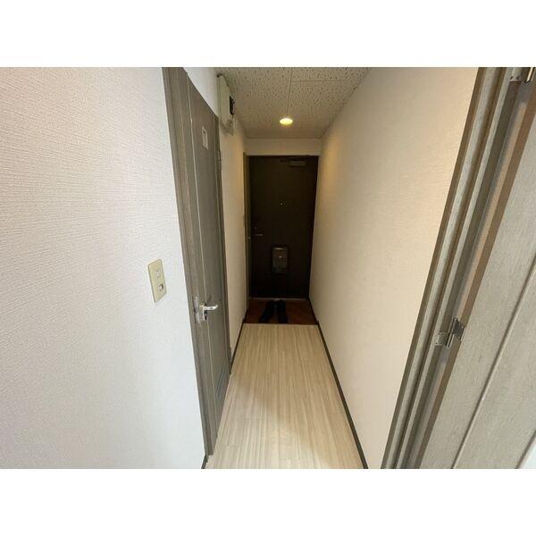 パルコート光星