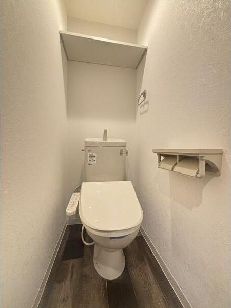 札幌市中央区南十二条西10丁目のマンション(トイレ)