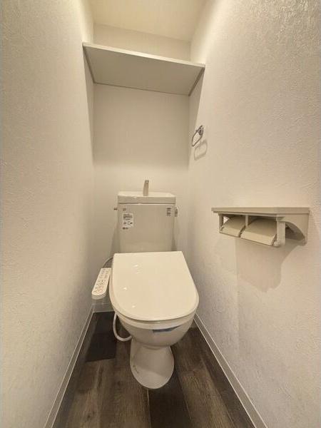 札幌市中央区南十二条西10丁目のマンション(トイレ)