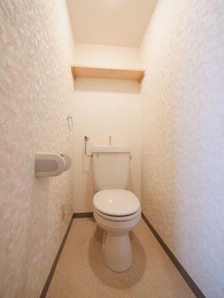 札幌市豊平区美園八条2丁目のマンション(トイレ)