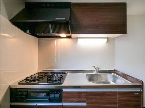 札幌市豊平区平岸一条2丁目のマンション(キッチン)