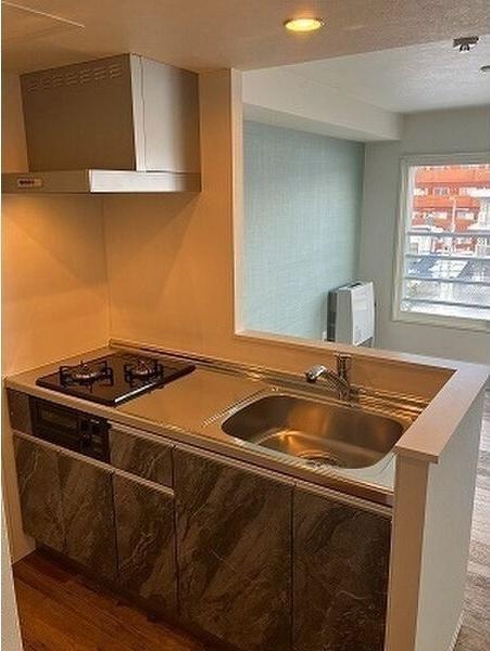 札幌市白石区本郷通1丁目南のマンション(キッチン)