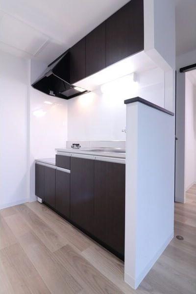 札幌市白石区東札幌四条4丁目のマンション(キッチン)