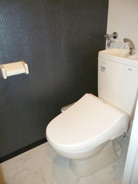 札幌市白石区本郷通9丁目南のマンション(トイレ)