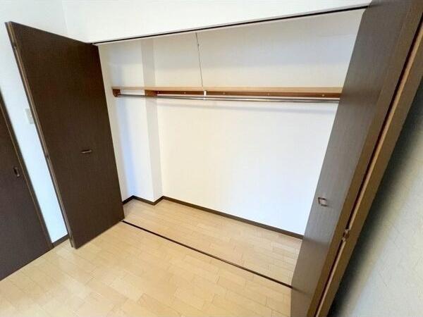 札幌市豊平区平岸五条7丁目のマンション(収納)