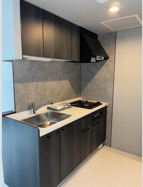 札幌市豊平区平岸四条2丁目のマンション(キッチン)