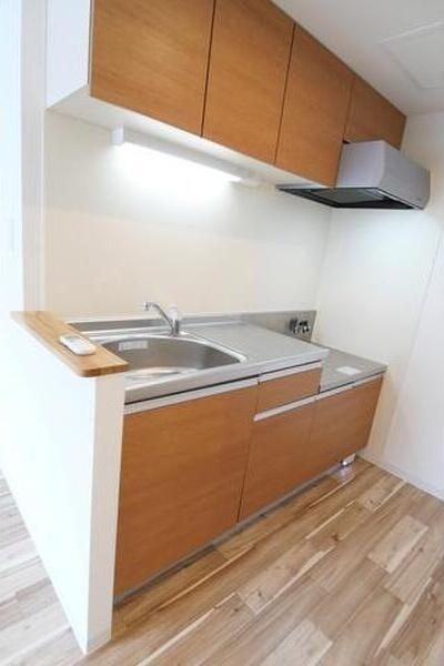 札幌市豊平区福住一条1丁目のマンション(キッチン)