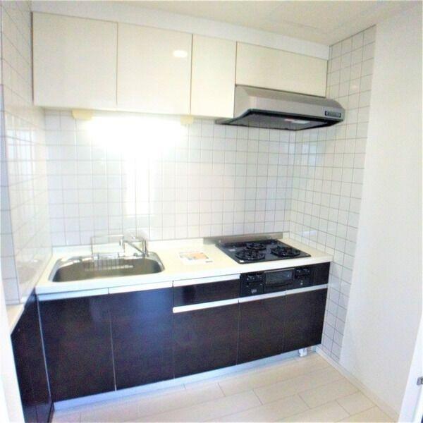 札幌市豊平区豊平三条3丁目のマンション(キッチン)