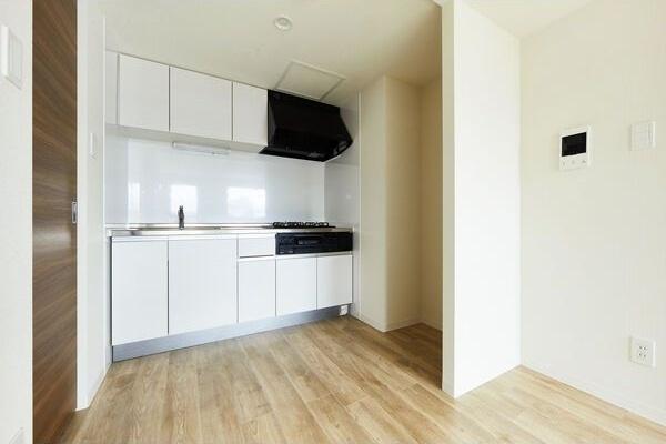 札幌市中央区北七条西21丁目のマンション(キッチン)