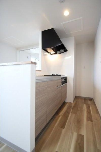 札幌市豊平区美園二条1丁目のマンション(キッチン)