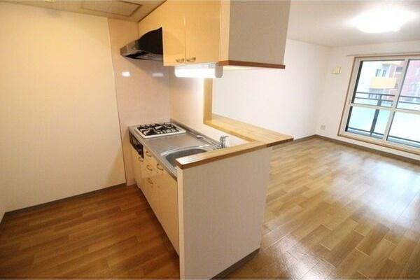 札幌市中央区南十一条西8丁目のマンション(キッチン)