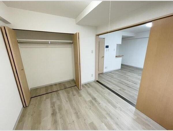 札幌市中央区北五条西16丁目のマンション(収納)