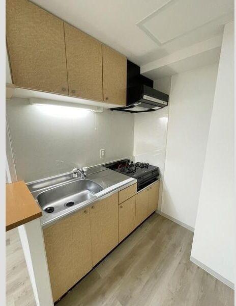 札幌市中央区北五条西16丁目のマンション(キッチン)