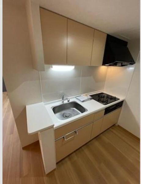 札幌市白石区南郷通14丁目北のマンション(キッチン)