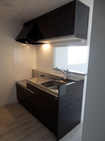 札幌市西区二十四軒三条5丁目のマンション(キッチン)