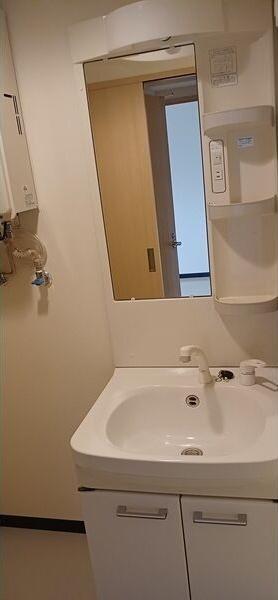 札幌市白石区南郷通21丁目南のマンション(洗面台・洗面所)