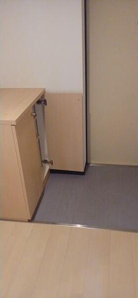 札幌市白石区南郷通21丁目南のマンション(玄関)