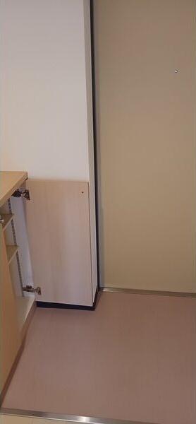 札幌市白石区南郷通21丁目南のマンション(玄関)