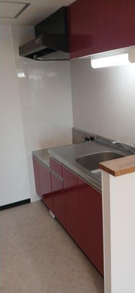 札幌市白石区南郷通21丁目南のマンション(キッチン)