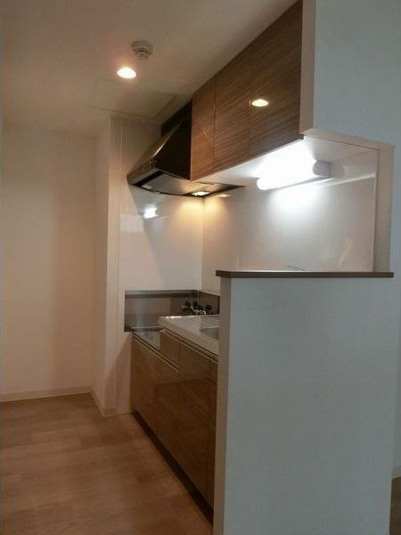 札幌市中央区北五条西13丁目のマンション(キッチン)