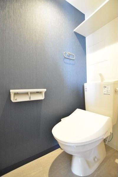 札幌市豊平区平岸四条9丁目のマンション(トイレ)