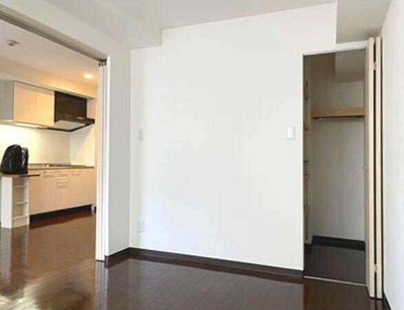 札幌市中央区大通東8丁目のマンション(収納)