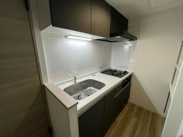 札幌市中央区南十四条西16丁目のマンション(キッチン)